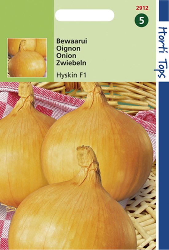 Ui Hyskin F1 (Allium cepa) 600 zaden